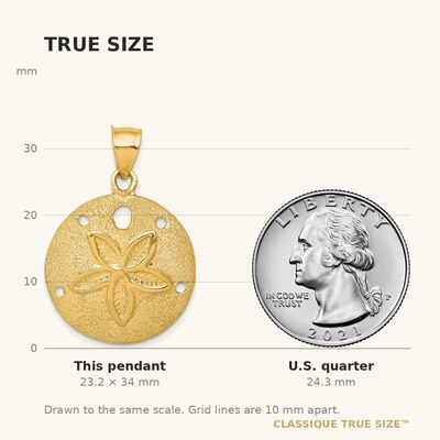 14K Solid Polished Laser-Cut Sand Dollar Pendant, 34 x 24mm