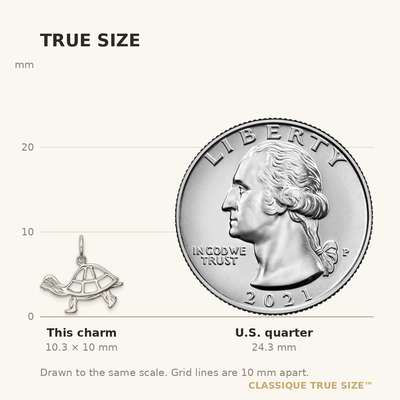 Sterling Silver Turtle Charm, 10 x 17mm
