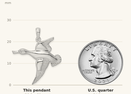 Classique True Size: De-Ani Sterling Silver Rhodium-Plated Polished Flying Duck Pendant shown next to a US quarter (24.3 mm)