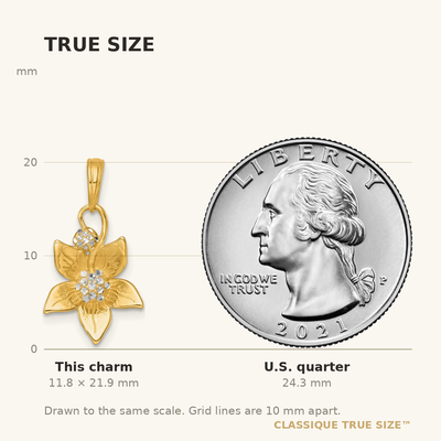 14K with White Rhodium Polished Blooming Flower Charm, 21.85 x 11.85mm