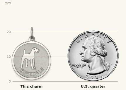 Classique True Size: Sterling Silver Rhodium-plated Airedale Disc Charm shown next to a US quarter (24.3 mm)