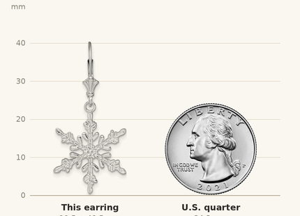Classique True Size: De-Ani Sterling Silver Rhodium-Plated Polished Snowflake Leverback Earrings shown next to a US quarter (24.3 mm)