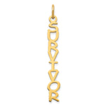 10k White Gold Cosmic Sans Font Name Plate Charm view 4