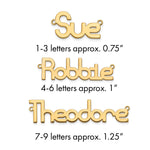 SS/Rhodium-plated Polished Name Plate view 1