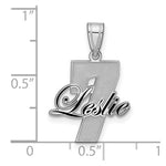 10K White Gold with Epoxy Name and Number Pendant view