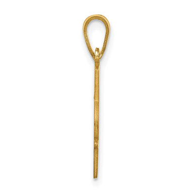 10K Yellow Gold with Epoxy Name and Number Pendant