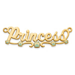 Sterling Silver/Gold-Plated Epoxy Paw Print Name Plate view 4
