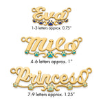 Sterling Silver/Gold-Plated Epoxy Paw Print Name Plate view 1