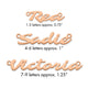 10k Rose Gold Name Plate