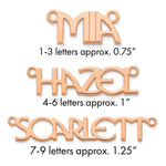 10k White Gold Name Plate view 11