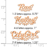SS/Gold-plated Diamond-cut Cut-out Stars Name Plate view 5