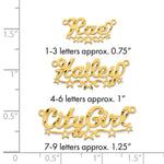 SS/Gold-plated Diamond-cut Cut-out Stars Name Plate view 10