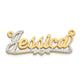 10k Yellow Gold and Rhodium 3D Diamond Name Plate