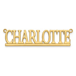 10k Yellow Gold Underlined Name Plate view 4