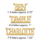 10k Yellow Gold Underlined Name Plate