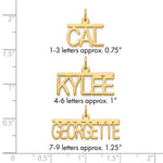 Sterling Silver/Gold-plated Top Br Name Plate view 5