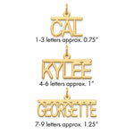 Sterling Silver/Gold-plated Top Br Name Plate view 1