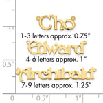 sterling Silver/Rhodium-plated Polished Name Plate view