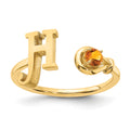 10K Yellow Gold / H