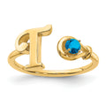 10K Yellow Gold / T