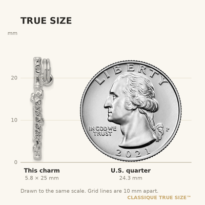 Sterling Silver Rhodium-platedPolished Flute Charm