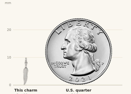 True size: Sterling Silver Rhodium-platedPolished Feather Charm shown next to a US quarter (24.3 mm)