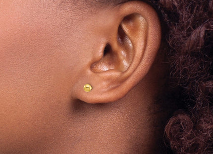 Stainless steel earrings, another view