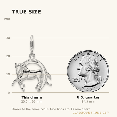 Amore La Vita Sterling Silver Rhodium-plated Polished 3-D Horse in Horseshoe Charm with Fancy Lobster Clasp