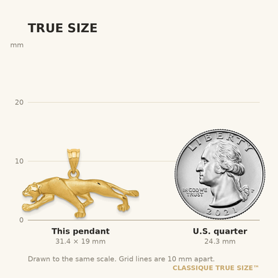14K Panther Pendant, 19 x 33mm