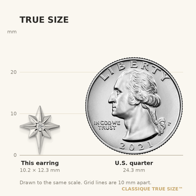 White Ice Sterling Silver Rhodium-plated Star with Diamond Post Earrings
