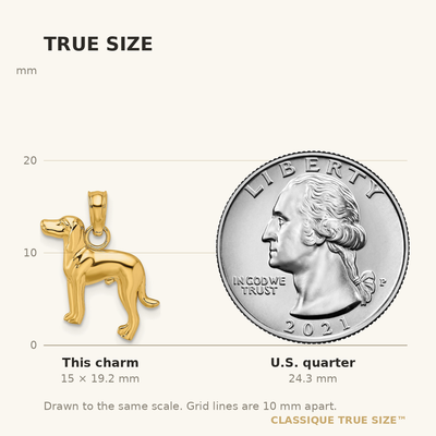 14K Polished Dog Charm, 19.25 x 13.25mm