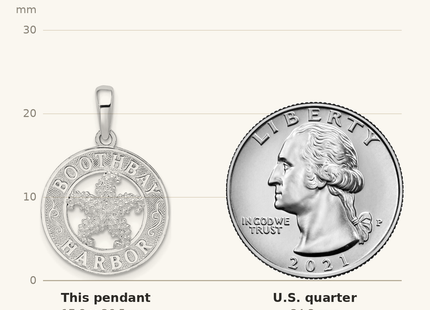 Classique True Size: De-Ani Sterling Silver Rhodium-Plated Polished Booth Bay Starfish Pendant shown next to a US quarter (24.3 mm)