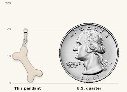 Classique True Size: De-Ani Sterling Silver Rhodium-Plated Polished 3D Enameled Dog Bone Pendant shown next to a US quarter (24.3 mm)