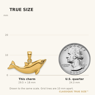 14K Polished Dolphin Charm, 18 x 27.8mm