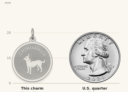 Classique True Size: Sterling Silver Rhodium-plated Chihuahua Disc Charm shown next to a US quarter (24.3 mm)