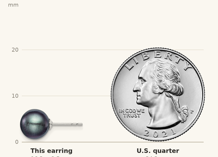 Classique True Size: Sterling Silver Rhodium-plated 8- Black Round Freshwater Cultured Pearl Post Earrings shown next to a US quarter (24.3 mm)