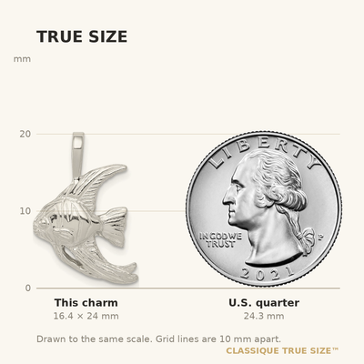 Sterling Silver Fish Charm, 24 x 16mm