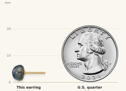 Classique True Size: 14k 7- Black Button Freshwater Cultured Pearl Stud Post Earrings shown next to a US quarter (24.3 mm)