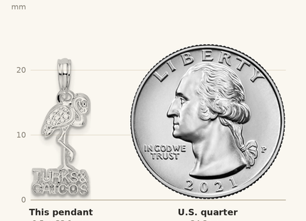 Classique True Size: De-Ani Sterling Silver Rhodium-Plated Polished Turks and Caicos Flamingo Pendant shown next to a US quarter (24.3 mm)
