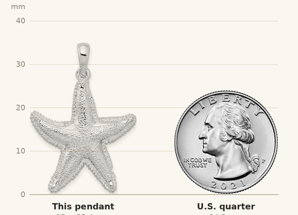 Classique True Size: De-Ani Sterling Silver Rhodium-Plated Polished Textured Starfish Pendant shown next to a US quarter (24.3 mm)