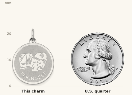 Classique True Size: Sterling Silver Rhodium-plated Pekingese Disc Charm shown next to a US quarter (24.3 mm)