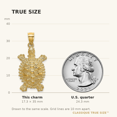 14K Land Turtle Charm, 35 x 16.18mm