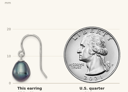 Classique True Size: Sterling Silver Rhodium-plated 8- Black Rice Freshwater Cultured Pearl Dangle Earrings shown next to a US quarter (24.3 mm)