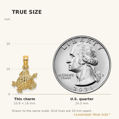 14K Textured Sea Turtle Charm, 16 x 11.85mm