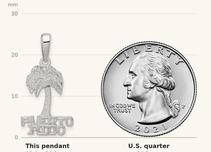 Classique True Size: De-Ani Sterling Silver Rhodium-Plated Polished Puerto Rico Palm Tree Pendant shown next to a US quarter (24.3 mm)