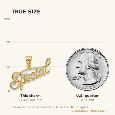 14K Polished and Textured Special Charm, 19.50 x 25.4mm