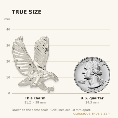 Sterling Silver Eagle Charm, 38 x 25mm