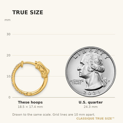 14K . Round Hoop w/ Safety Clasp Diamond Earrings