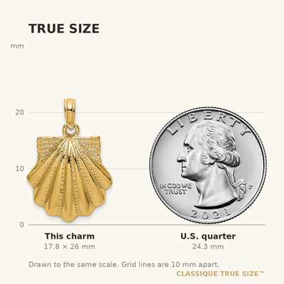 14K Textured Scallop Shell Charm, 26 x 16.41mm