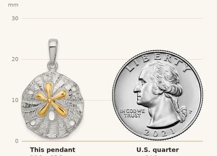 Classique True Size: De-Ani Sterling Silver Rhodium-Plated Textured Sand Dollar with 14k Accent Pendant shown next to a US quarter (24.3 mm)